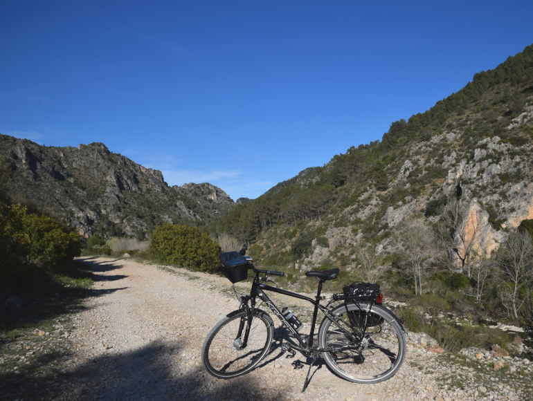 Radreisen nach Elche | MegaSport Travel
