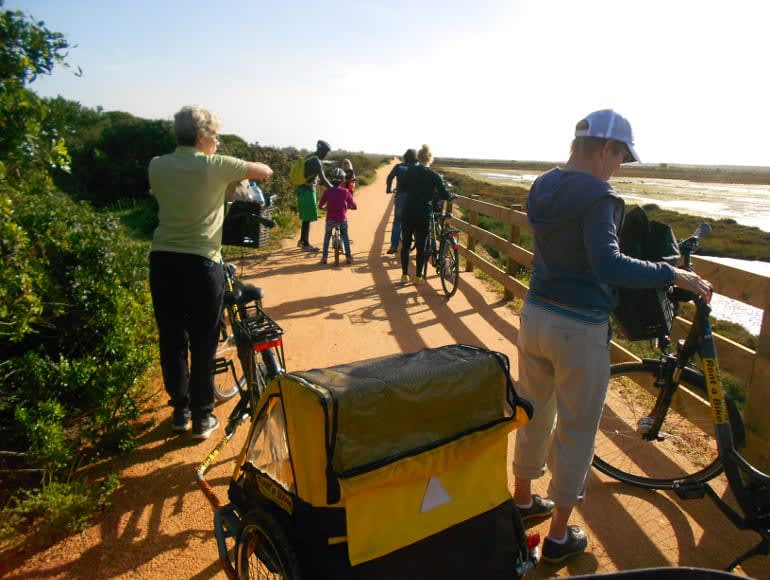 Stoppen Sie die Aussicht auf die Ria Formosa