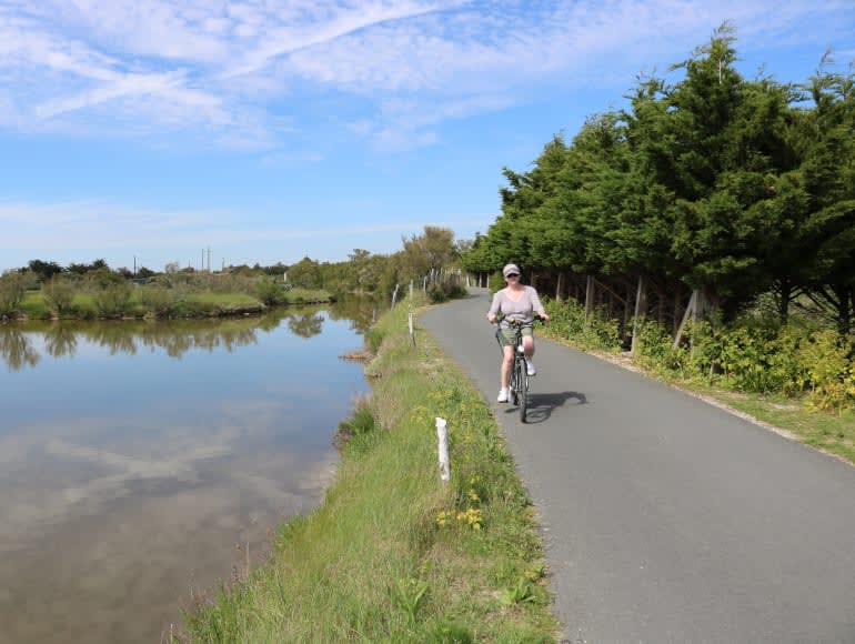 Cycling in the nature next to a river | MegaSport Travel