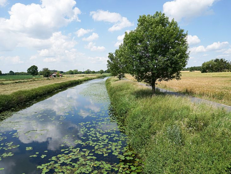 Cycling Muesnter river Stever | MegaSport Travel