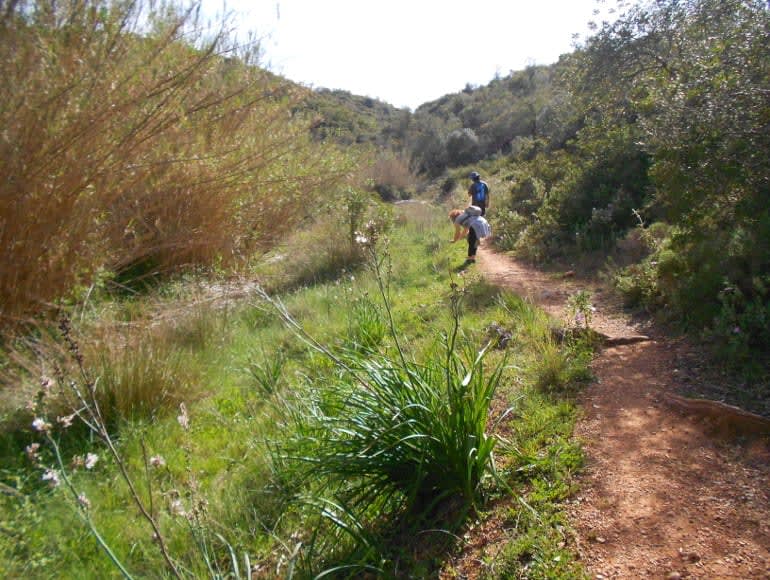 Walking trail on hllls