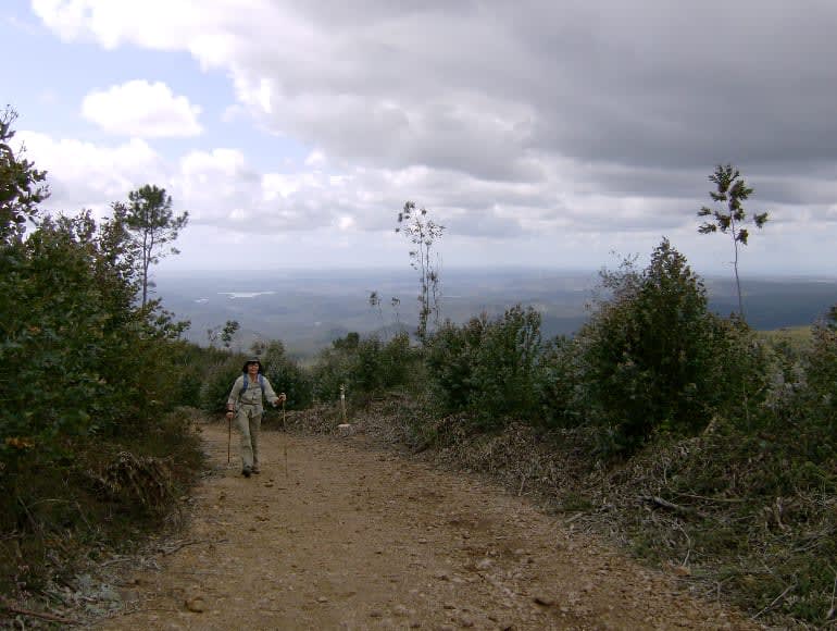 Serra do Caldeirao view down