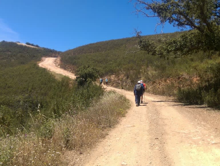 Walking trail in Serra do Caldeirao