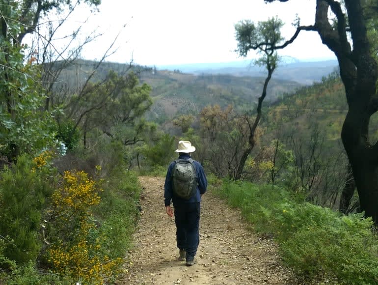 Walk in the nature