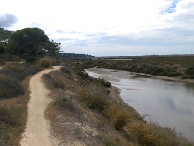 Walking in Ria formosa next to a water canal 