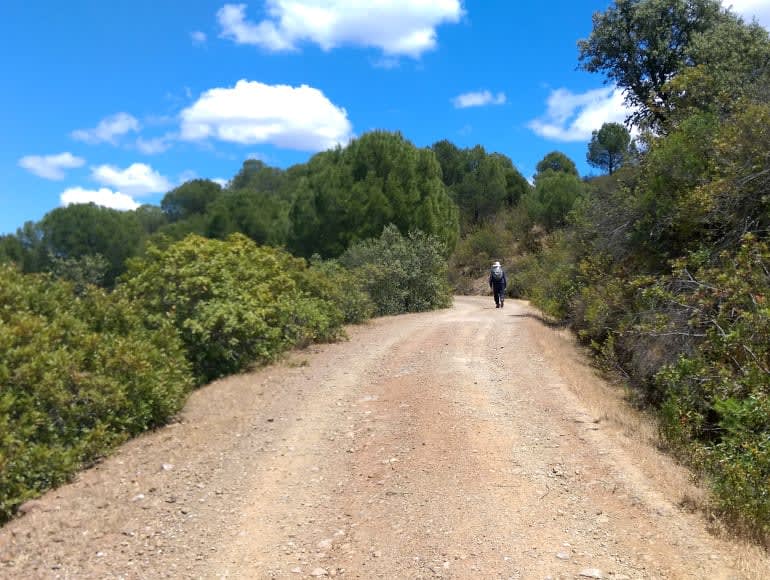 Paseo sobre trinos junto al río 
