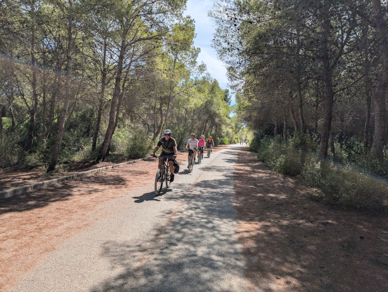 Opastetut kierrokset Elchestä Valenciaan | MegaSport Travel