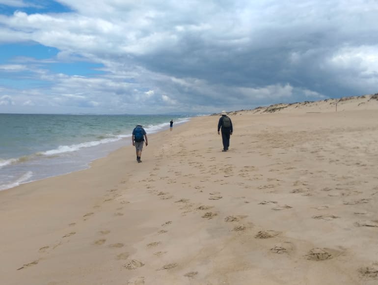 Walk on the beach 