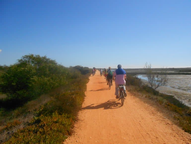 Faire du vélo près de Ria Formosa: passez vos vacances en Algarve - Portugal| MegaSport Travel