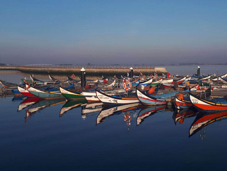 barche tradizionali, Ria de Aveiro