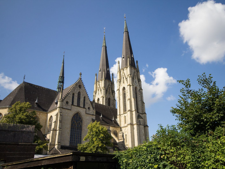 Fietstochten Münster Billerbeck | MegaSport-reizen