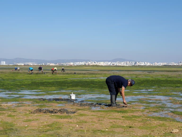 Ria formosa landschapsmening naar Faro
