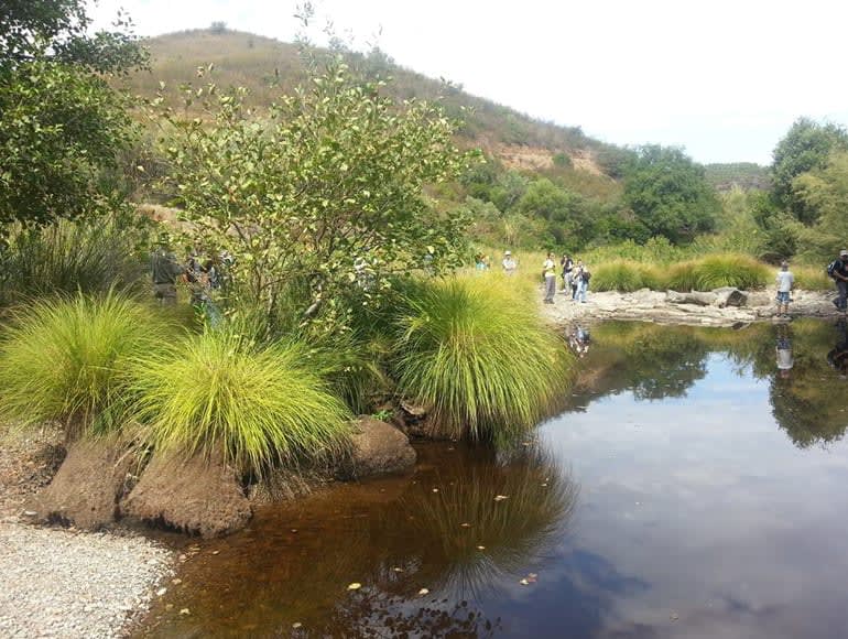 Wandelen Caldeirão-heuvels | MegaSport Travel