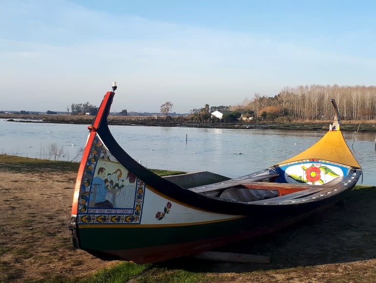 Portugal Tradisjoner, sykling Aveiro
