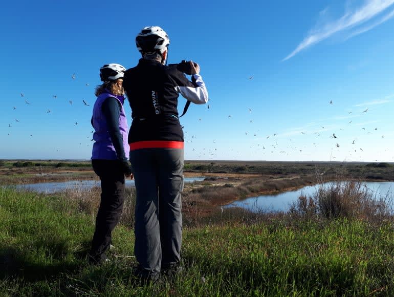 jazda na rowerze, obserwacja ptaków, park przyrody ria formosa