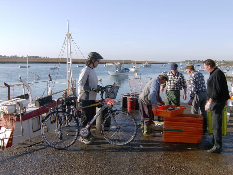 Färsk fiskmarknad, se detta genom att cykla i Algarve | MegaSport Travel