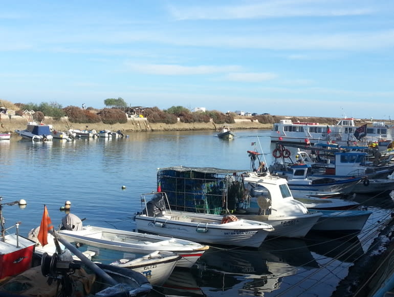 Cykling genom Ria Formosa Natural Park